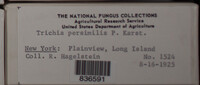 Image Associated With the Occurence